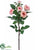 Rose Spray - Cream Fuchsia - Pack of 12