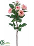 Silk Plants Direct Rose Spray - Cream Fuchsia - Pack of 12