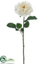 Silk Plants Direct Damask Rose Spray - Cream - Pack of 12