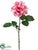 Damask Rose Spray - Lilac Cream - Pack of 12