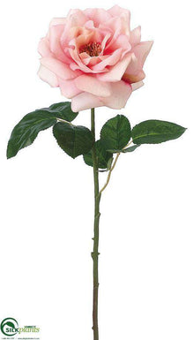 Damask Rose Spray - Rose Cream - Pack of 12