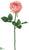 Rose Spray - Coral - Pack of 12