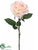 Rose Spray - Apricot Pastel - Pack of 12
