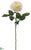 Rose Spray - Cream Green - Pack of 12