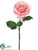 Rose Spray - Rose Cream - Pack of 12