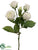 Rose Spray - White - Pack of 12