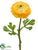 Ranunculus Spray - Yellow Green - Pack of 12