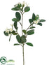 Silk Plants Direct Stephanotis Spray - White - Pack of 12