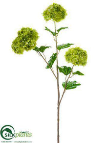 Snowball Spray - Green - Pack of 12