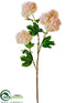 Silk Plants Direct Snowball Spray - Pink Cream - Pack of 12