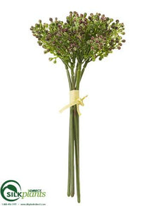 Sedum Bundle - Green Burgundy - Pack of 12