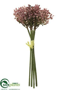 Sedum Bundle - Mauve Green - Pack of 12