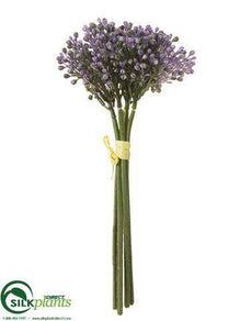 Sedum Bundle - Purple - Pack of 12