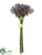 Sedum Bundle - Purple - Pack of 12