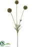 Silk Plants Direct Scabiosa Pod Spray - Olive Green Green - Pack of 12