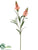 Snapdragon Spray - Coral Two Tone - Pack of 12