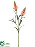 Silk Plants Direct Snapdragon Spray - Coral Two Tone - Pack of 12