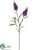 Snapdragon Spray - Purple - Pack of 12