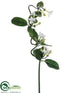 Silk Plants Direct Stephanotis Hanging Spray - White - Pack of 12