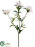 Silk Plants Direct Stephanotis Spray - White - Pack of 12