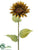 Sunflower Spray - Olive Green Dark - Pack of 12