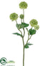Silk Plants Direct Snowball Spray - Lime - Pack of 12
