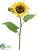 Sunflower Spray - Yellow - Pack of 12