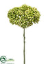 Silk Plants Direct Sedum Spray - Green - Pack of 12