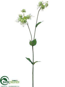 Silene Spray - Lime White - Pack of 12