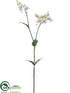 Silk Plants Direct Silene Spray - White - Pack of 12