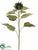 Sunflower Small Bud Spray - Green - Pack of 12