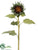 Sunflower Bud Spray - Green - Pack of 6