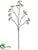 Sedum Spray - Mauve Green - Pack of 12