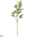 Silk Plants Direct Sorbus Spray - Cream Green - Pack of 12