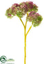Silk Plants Direct Sedum Pick Bundle - Mauve Green - Pack of 36
