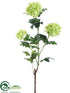 Silk Plants Direct Snowball Spray - Green - Pack of 12