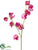 Sweet Pea Spray - Fuchsia - Pack of 12