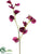 Sweet Pea Spray - Orchid - Pack of 12