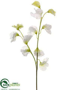 Sweet Pea Spray - White Green - Pack of 12