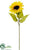 Sunflower Spray - Yellow - Pack of 12