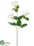 Silk Plants Direct Diamond Stephanotis Spray - White - Pack of 12