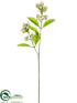 Silk Plants Direct Sedum Spray - Green Burgundy - Pack of 12