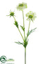 Silk Plants Direct Scabiosa Spray - Cream - Pack of 12