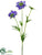 Scabiosa Spray - Helio - Pack of 12