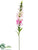 Snapdragon Spray - Cream Pink - Pack of 12