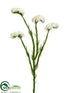 Silk Plants Direct Statice Spray - White - Pack of 12