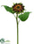 Sunflower Spray - Brown - Pack of 12