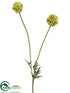 Silk Plants Direct Scabiosa Bud Spray - Green Two Tone - Pack of 12