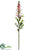 Snapdragon Spray - Pink Two Tone - Pack of 12