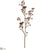 Sedum Spray - Brown - Pack of 12